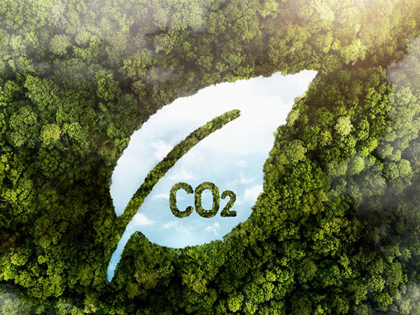 How Are Operators Implementing Carbon Footprint Reduction?