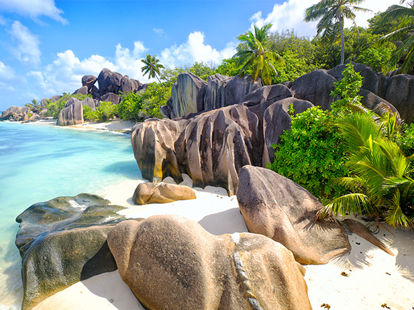 Permit Challenges in Seychelles