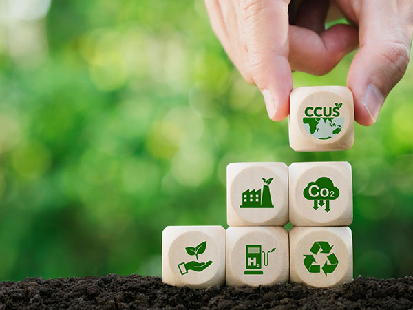 Carbon Offsetting Programs Essential Insights for Operators