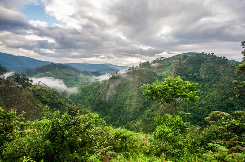 Rwanda